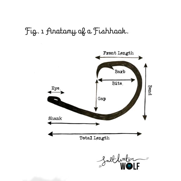 fishhook Final Thumbnail