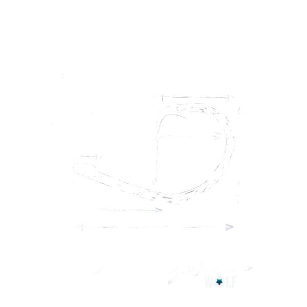 Anatomy of a Fishhook - White Thumbnail